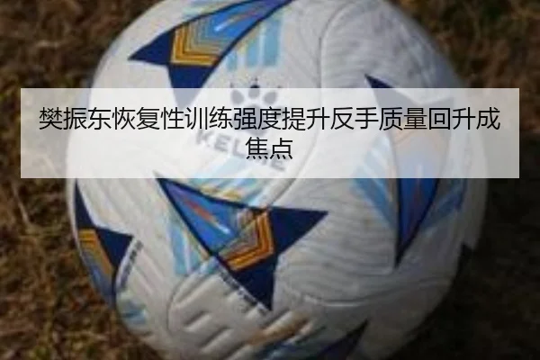 樊振东恢复性训练强度提升反手质量回升成焦点